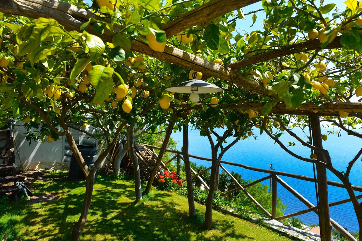Il mulino di Praiano-15